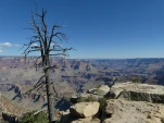 OuestAmericain-2022-10-11 11-23-40-Anne