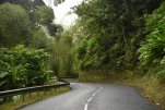 1-Martinique-2021-01-14 11-22-38