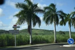 1-Martinique-2021-01-16 15-02-40