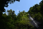 1-Martinique-2021-01-14 15-11-18