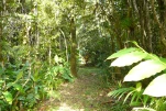 2-Guadeloupe-2021-01-23 15-53-05