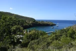1-Martinique-2021-01-11 12-10-16
