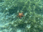1-Martinique-2021-01-13 09-46-14