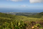 2-Guadeloupe-2021-01-25 11-16-18