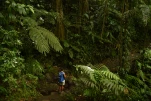 2-Guadeloupe-2021-01-25 10-39-34