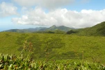 2-Guadeloupe-2021-01-25 11-43-09