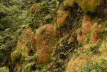 2-Guadeloupe-2021-01-25 11-35-50
