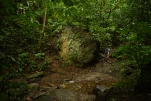 1-Martinique-2021-01-14 14-34-29