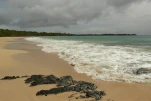 1-Martinique-2021-01-15 12-07-18