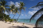 2-Guadeloupe-2021-01-21 13-19-40