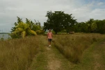 2-Guadeloupe-2021-01-22 13-23-59