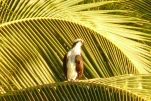 2-Guadeloupe-2021-01-28 17-42-25