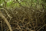 1-Martinique-2021-01-12 14-27-57