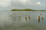 2-Guadeloupe-2021-01-22 11-57-04