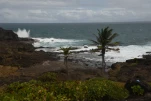 1-Martinique-2021-01-12 12-20-22