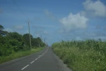 2-Guadeloupe-2021-01-19 10-49-27