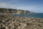 2-Guadeloupe-2021-01-19 12-07-02