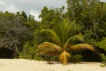 1-Martinique-2021-01-15 11-57-20