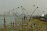 Inde-2018-12-07 11-21-41