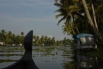 Inde-2018-12-06 09-32-18