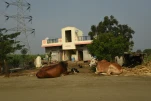 Inde-2018-11-20 11-06-39