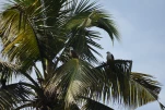 Inde-2018-12-06 10-05-21