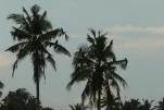 Inde-2018-12-04 16-19-53