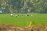Inde-2018-12-06 10-15-00