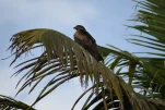 Inde-2018-12-04 15-59-40