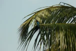 Inde-2018-12-06 09-39-24