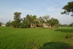 Inde-2018-12-06 07-58-14