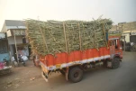 Inde-2018-11-21 18-36-52