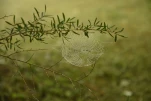 Inde-2018-12-01 12-07-34