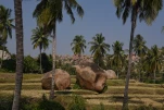 Inde-2018-11-27 12-11-14