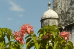 Inde-2018-11-23 13-46-39