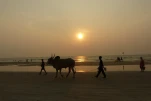 Inde-2018-11-24 18-17-42