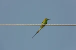 Inde-2018-11-27 15-07-11