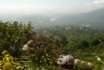 Inde-2018-12-01 10-33-06
