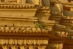 Inde-2018-11-27 18-05-34