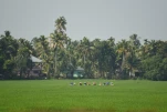 Inde-2018-12-06 10-15-13