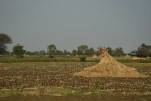 Inde-2018-11-20 11-13-54