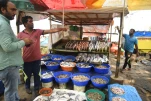 Inde-2018-12-07 11-11-14