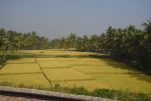 Inde-2018-11-28 09-52-03