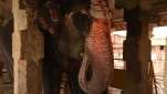 Inde-2018-11-27 18-14-51