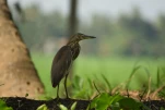 Inde-2018-12-06 10-15-03