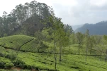 SriLanka-2025-02-04 14-47-05 DMC