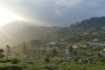 SriLanka-2025-02-04 17-37-45 DMC