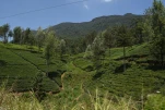 SriLanka-2025-02-08 12-52-02