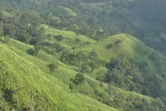 SriLanka-2025-02-06 16-30-42 DMC