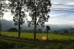 SriLanka-2025-02-03 16-59-31